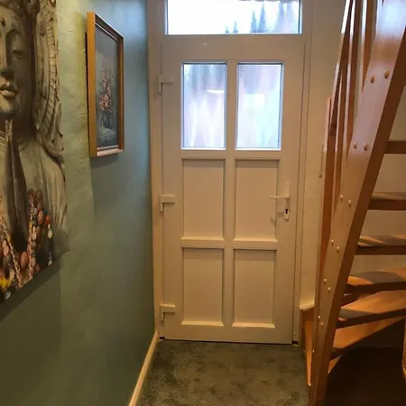 Проживание в семье Lutte Kammer 1